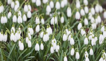 Более двадцати городов Беларуси переписали температурные рекорды в середине марта