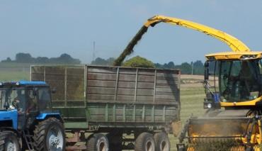 Госстандарт объявил конкурс лучшей дипломной работы студентов в области управления 