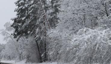 Какую погоду ждать белорусам на Новый год