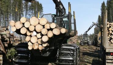 Минлесхоз Беларуси планирует отправить на экспорт 1 млн кубометров пиломатериалов