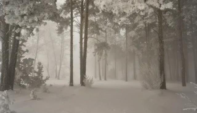 Туман окутал четыре области Беларуси, синоптики срочно сменили прогноз
