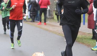 В Бресте провели утренний «Забег трезвости»