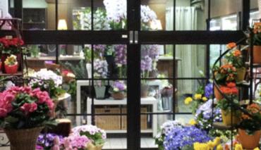 В Минске не наблюдалось большого цветочного ажиотажа с началом учебного года 