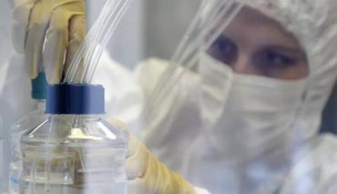 В России разрабатывают препарат для управления гибелью больных клеток