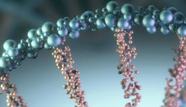 В трех типах клеток ДНК человека обнаружена новая загадочная структура 