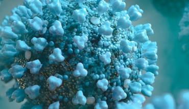 В Украине зарегистрирована первая смерть от нового штамма коронавирусной инфекции 