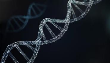 Защитники ДНК ведут нескончаемую эволюционную битву