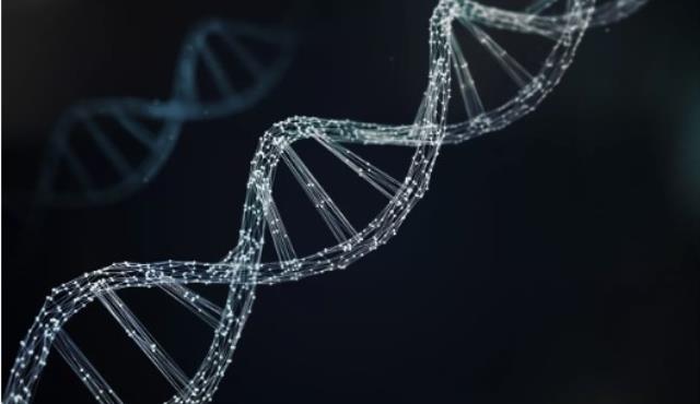 Защитники ДНК ведут нескончаемую эволюционную битву