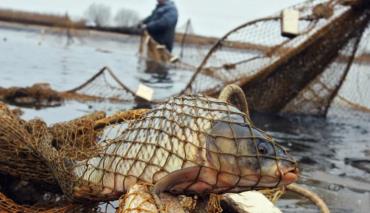 Житель Наровли незаконно порыбачил в Полесском заповеднике на 9,5 тыс. рублей