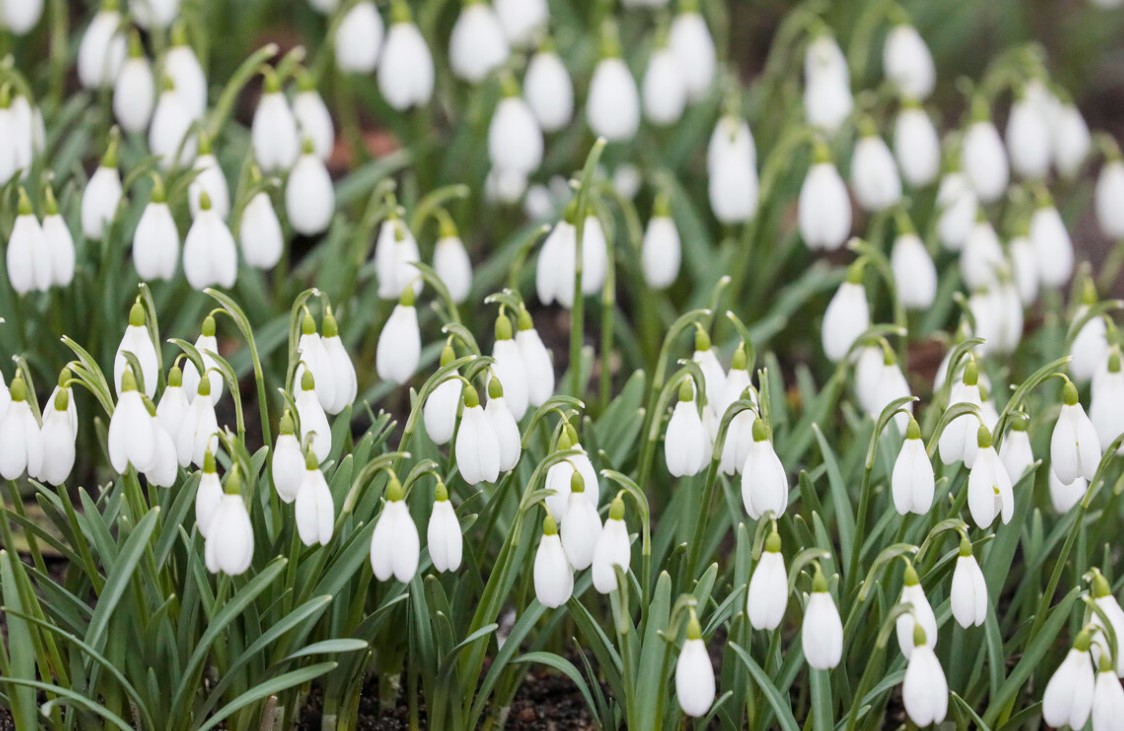 Более двадцати городов Беларуси переписали температурные рекорды в середине марта